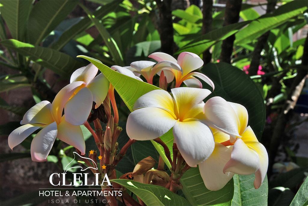 Clelia Case Centro Storico Holiday home